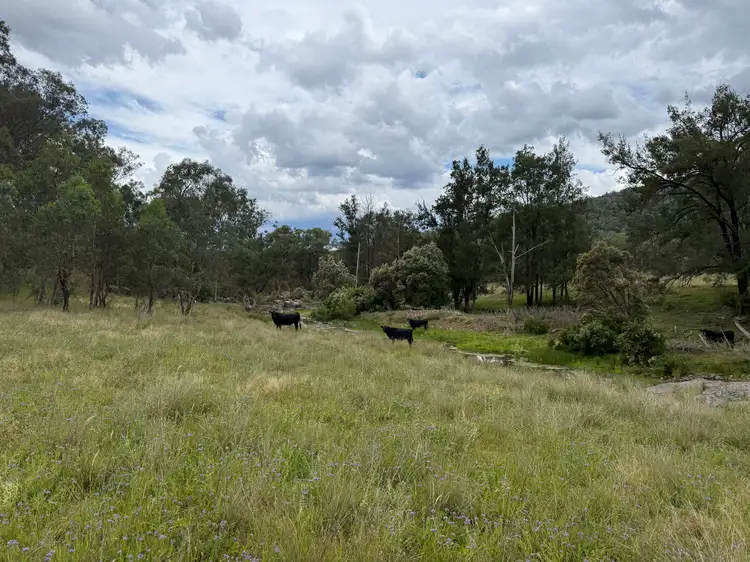 Sixth view of Homely rural property listing, "Wylua" Trevallyn Road, Upper Horton NSW 2347