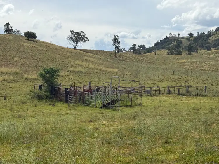 Seventh view of Homely rural property listing, "Wylua" Trevallyn Road, Upper Horton NSW 2347