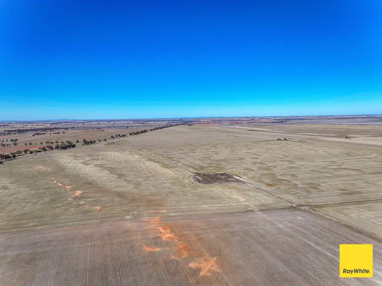 Seventh view of Homely rural property listing, 1 Bolgers North and South, Donald VIC 3480