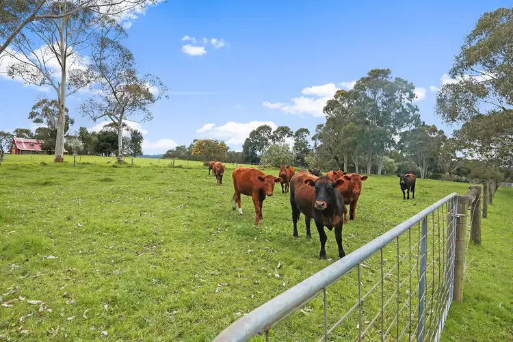 Fifth view of Homely rural property listing, 750 Labertouche North Road, Labertouche VIC 3816