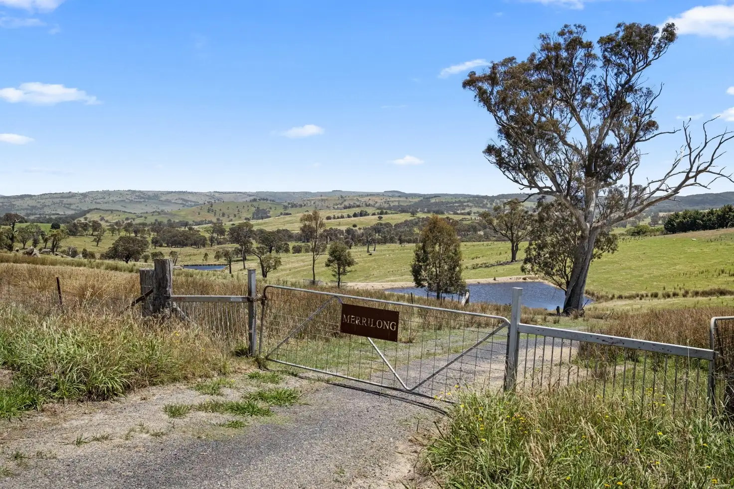 Main view of Homely rural property listing, 442 Sylvia Vale Road, Binda NSW 2583