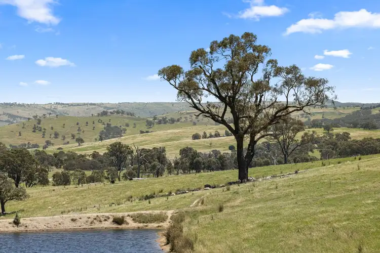 Sixth view of Homely rural property listing, 442 Sylvia Vale Road, Binda NSW 2583