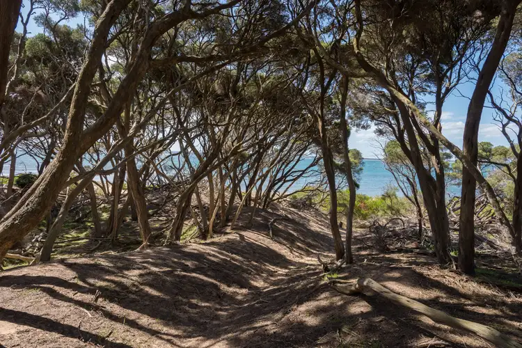 Fifth view of Homely land listing, 6 McRae Avenue, Cowes VIC 3922