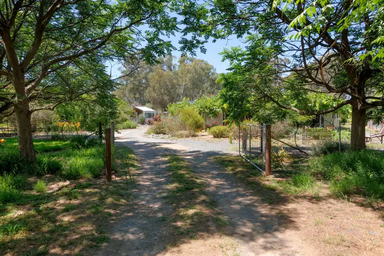 Second view of Homely rural property listing, 53 Malabar Road, Holbrook NSW 2644
