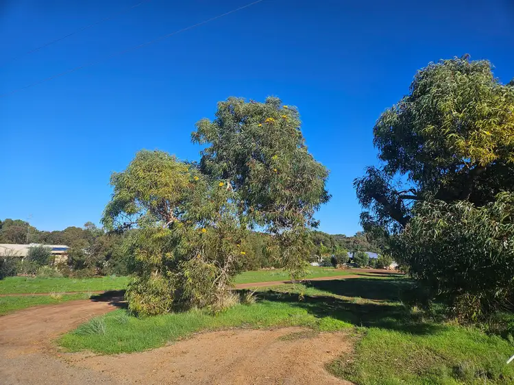 Fourth view of Homely land listing, 19 Watson Place, Dongara WA 6525