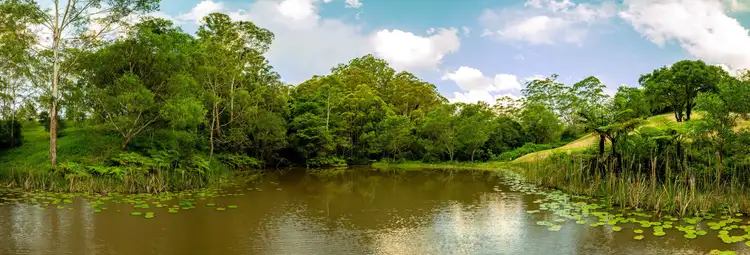 Second view of Homely rural property listing, 35 Rose Gum Lane, Witta QLD 4552