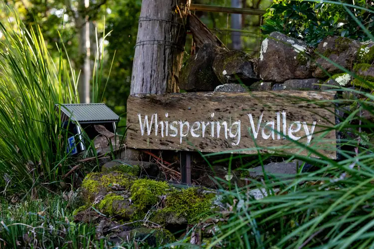 Third view of Homely rural property listing, 35 Rose Gum Lane, Witta QLD 4552