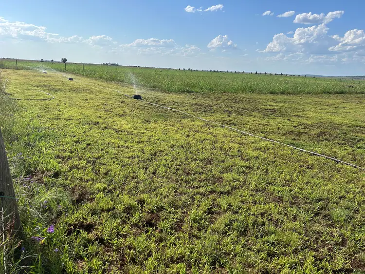 Second view of Homely rural property listing, 601 Woodview School Road, Aubigny QLD 4401