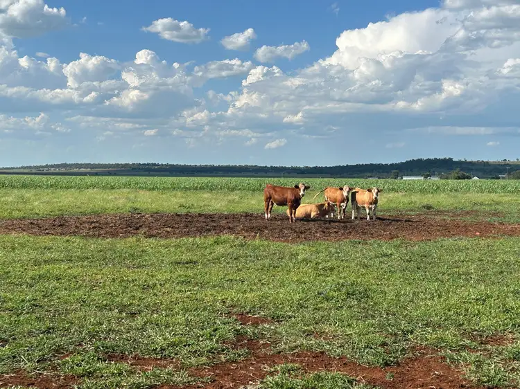 Fifth view of Homely rural property listing, 601 Woodview School Road, Aubigny QLD 4401