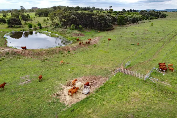 "Dee View" Jamesons Lane, Dululu QLD 4702