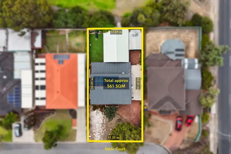 Fourth view of Homely house listing, 11 Niblic Court, Grange SA 5022