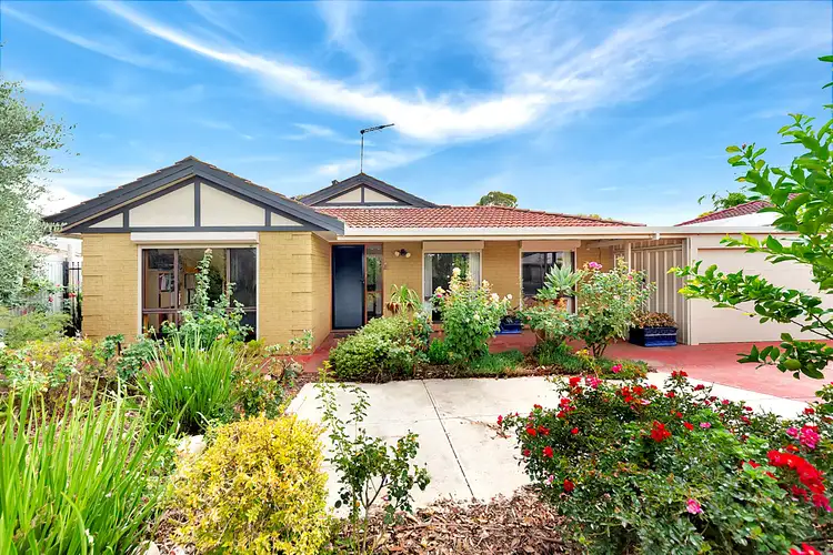 23 Window Crescent, Salisbury North SA 5108