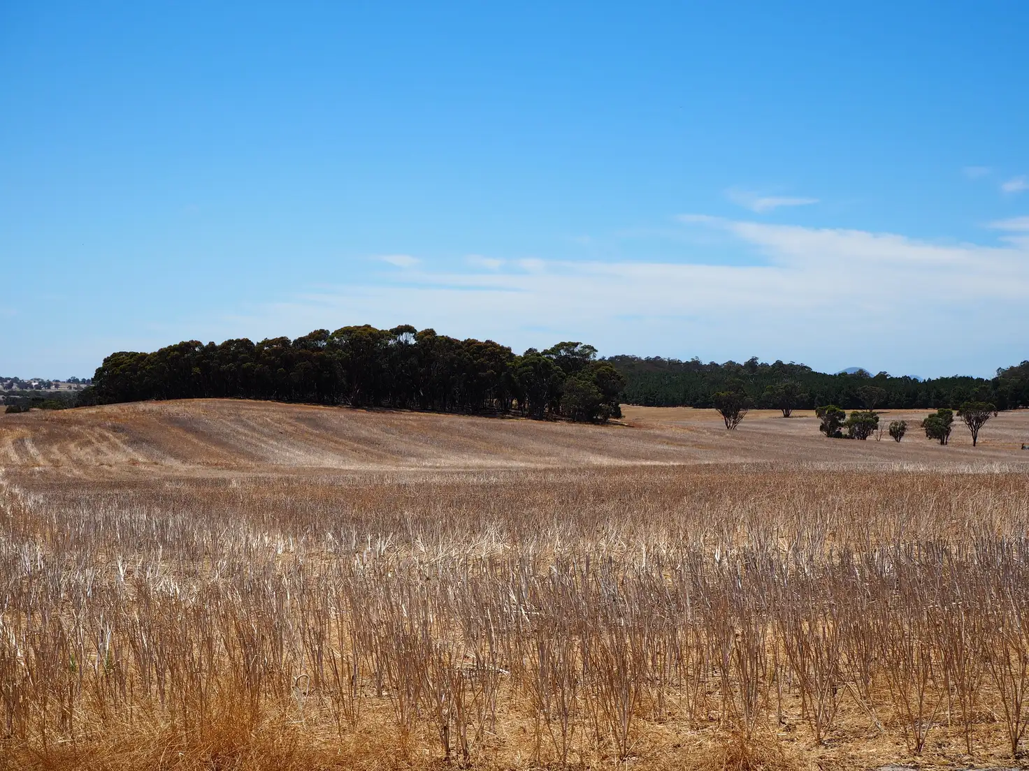 Main view of Homely rural property listing, Glenrock Frankland-Cranbrook Road, Cranbrook WA 6321
