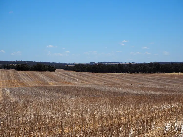 Third view of Homely rural property listing, Glenrock Frankland-Cranbrook Road, Cranbrook WA 6321