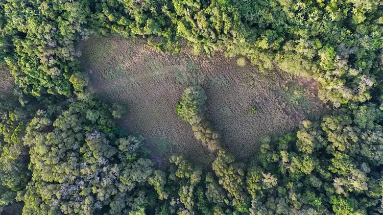 Fifth view of Homely rural property listing, Address available on request