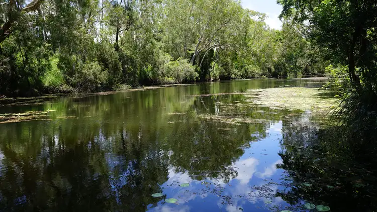 Fourth view of Homely rural property listing, 426 Spring Valley Road, St Lawrence QLD 4707