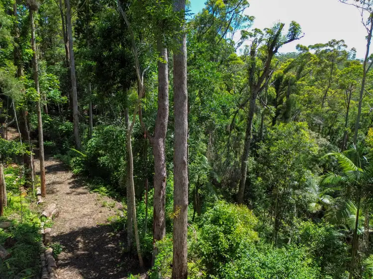 100 Wongawallan Road, Tamborine Mountain QLD 4272