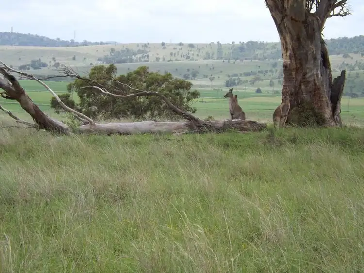 Third view of Homely rural property listing, Lot 10 Golden Highway, Jerrys Plains NSW 2330