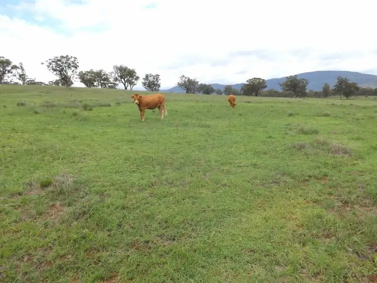 Fourth view of Homely rural property listing, Lot 10 Golden Highway, Jerrys Plains NSW 2330