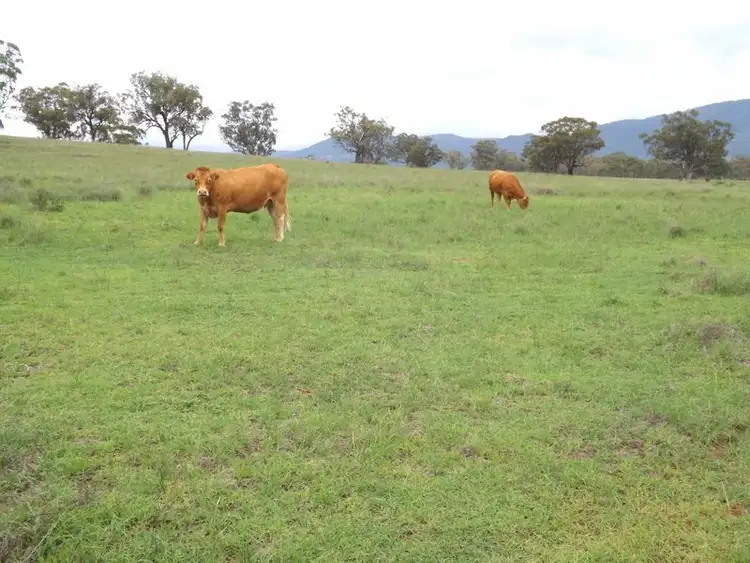 Fifth view of Homely rural property listing, Lot 10 Golden Highway, Jerrys Plains NSW 2330