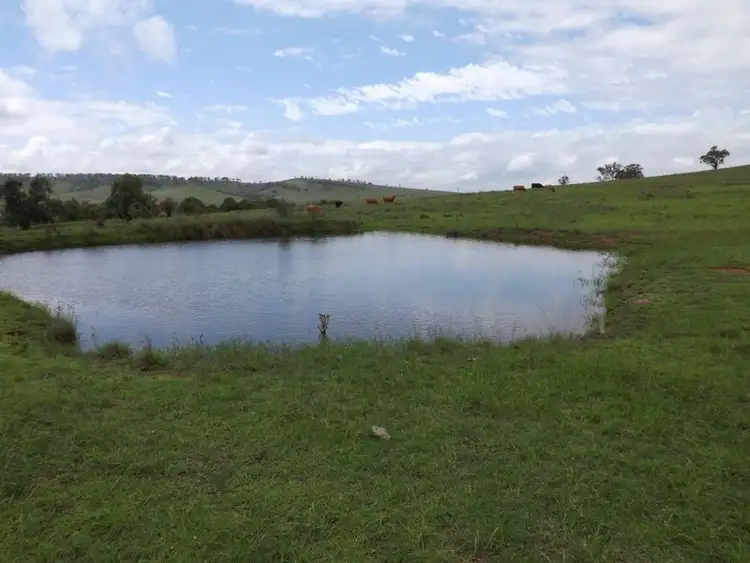 Seventh view of Homely rural property listing, Lot 10 Golden Highway, Jerrys Plains NSW 2330