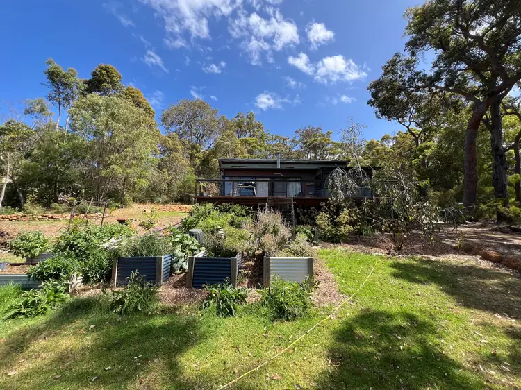 Main view of Homely house listing, 13 Coughlan Grove, Ocean Beach WA 6333