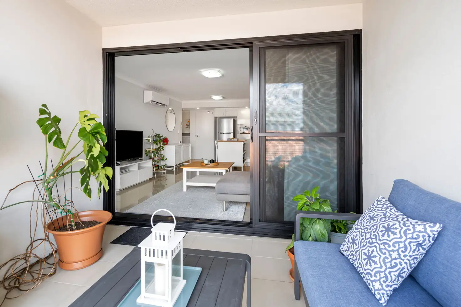 Main view of Homely unit listing, 36/13 Norman Street, Wooloowin QLD 4030