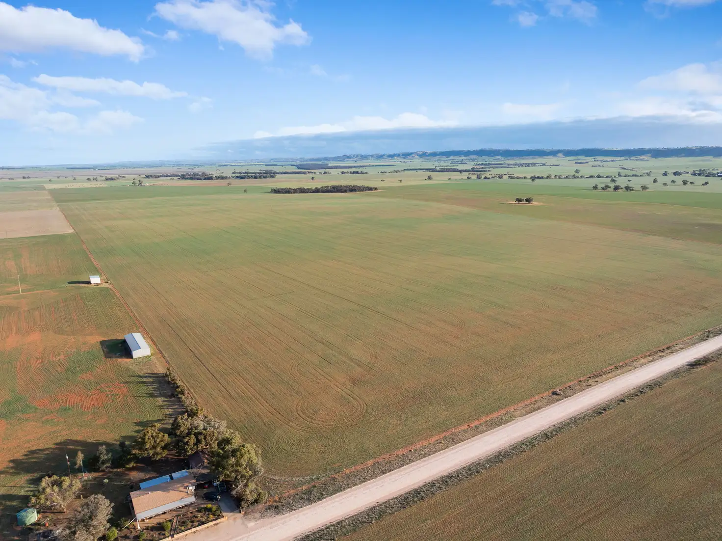 Main view of Homely rural property listing, 'Rodda' Neindorf Road, Robertstown SA 5381