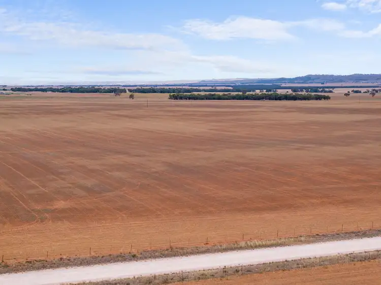 Fifth view of Homely rural property listing, 'Rodda' Neindorf Road, Robertstown SA 5381