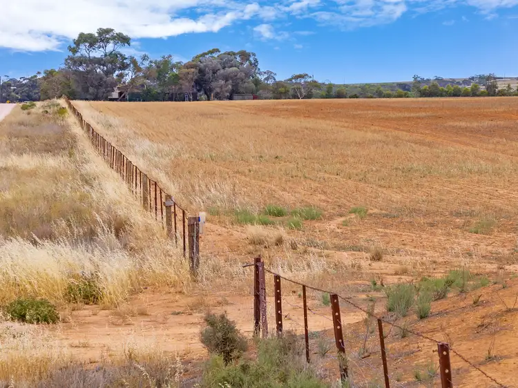 Sixth view of Homely rural property listing, 'Rodda' Neindorf Road, Robertstown SA 5381