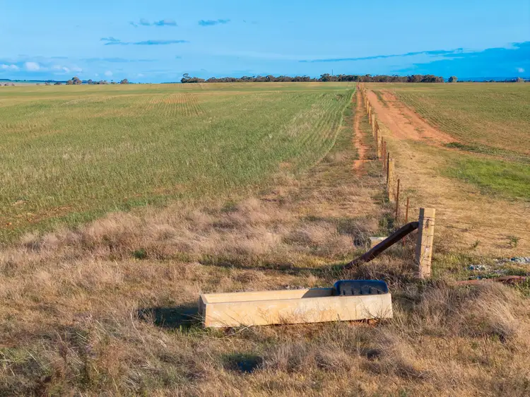 Seventh view of Homely rural property listing, 'Rodda' Neindorf Road, Robertstown SA 5381