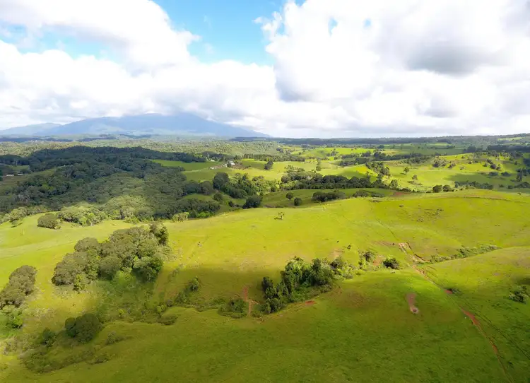 Third view of Homely rural property listing, 343 Gadaloff Road, Butchers Creek QLD 4885