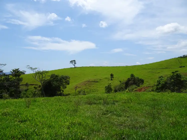 Seventh view of Homely rural property listing, 343 Gadaloff Road, Butchers Creek QLD 4885