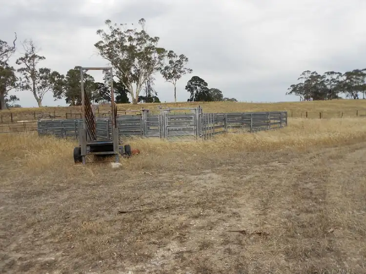 Third view of Homely rural property listing, 515 Golf Course Road, Bordertown SA 5268