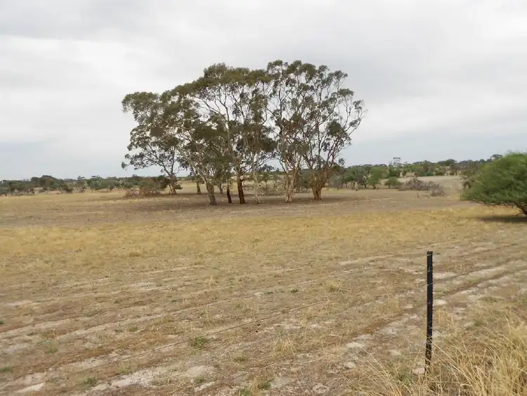 Seventh view of Homely rural property listing, 515 Golf Course Road, Bordertown SA 5268