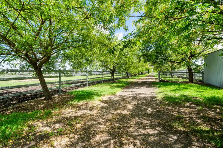 Fifth view of Homely rural property listing, 58 Hausler Road, Pittsworth QLD 4356