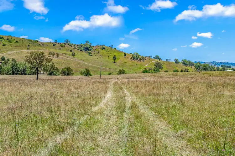 Seventh view of Homely rural property listing, Lot 2, 1615 Mirannie Road, Singleton NSW 2330