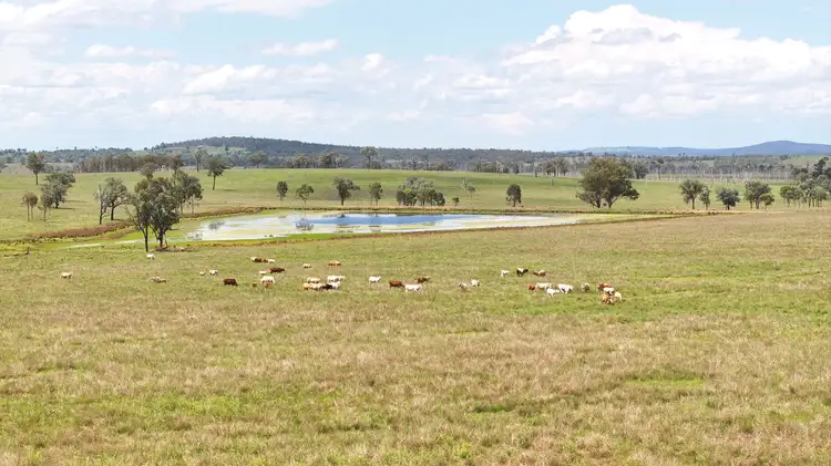 Third view of Homely rural property listing, "Echo Hills" 2945 Beeron Road, Mundubbera QLD 4626