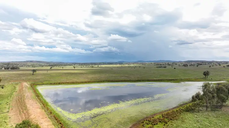 Fifth view of Homely rural property listing, "Echo Hills" 2945 Beeron Road, Mundubbera QLD 4626