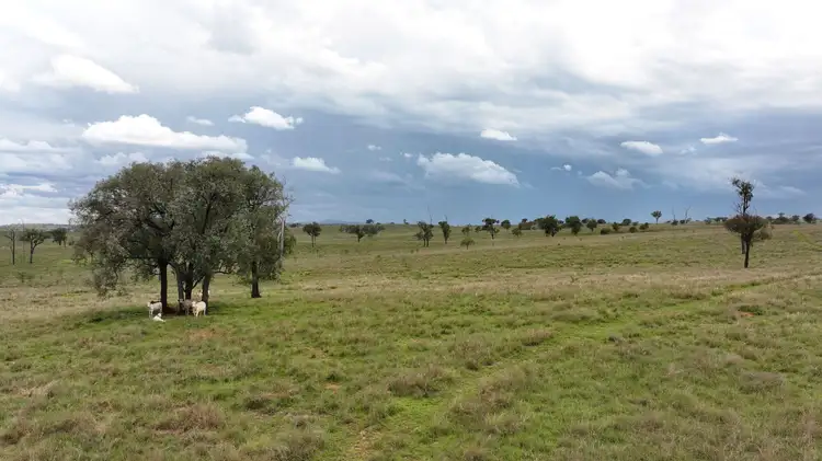 Sixth view of Homely rural property listing, "Echo Hills" 2945 Beeron Road, Mundubbera QLD 4626