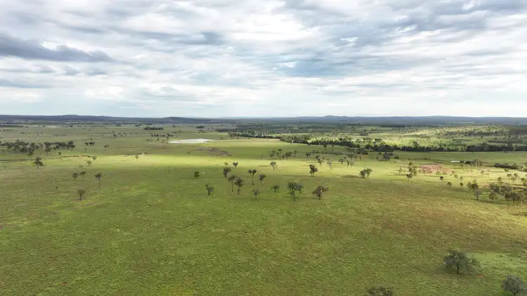 Seventh view of Homely rural property listing, "Echo Hills" 2945 Beeron Road, Mundubbera QLD 4626