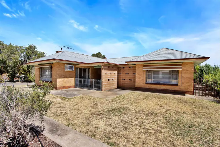 13 Francis Street East, Nuriootpa SA 5355
