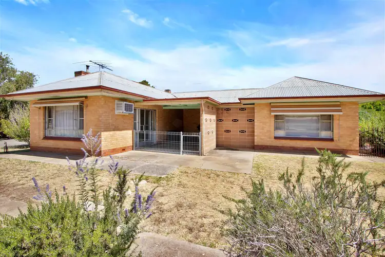 Second view of Homely house listing, 13 Francis Street East, Nuriootpa SA 5355