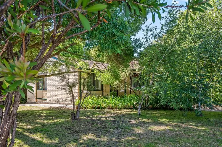 21 Alberg Avenue