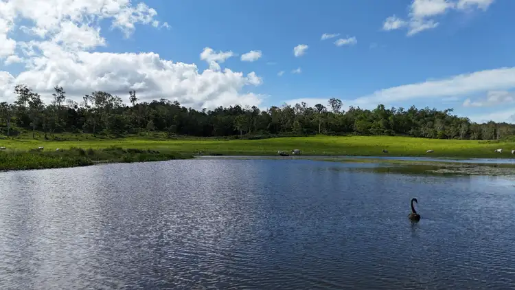 Third view of Homely rural property listing, 99 Bundesens Road, Yalboroo QLD 4741