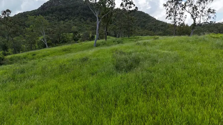 Fifth view of Homely rural property listing, 99 Bundesens Road, Yalboroo QLD 4741
