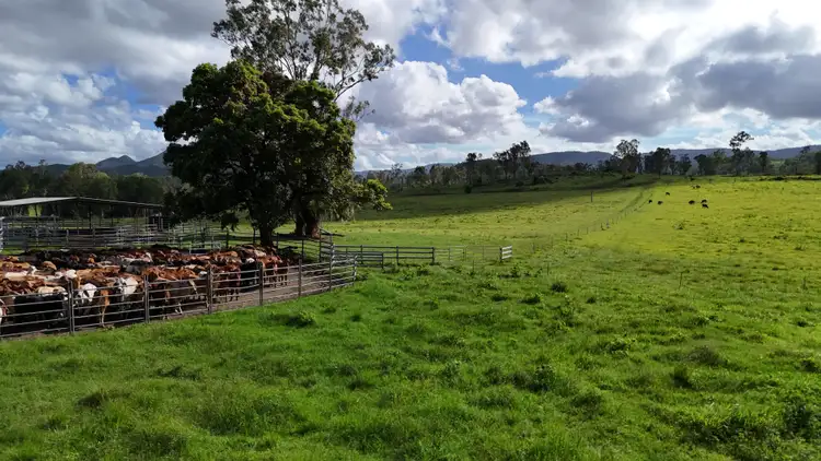 Seventh view of Homely rural property listing, 99 Bundesens Road, Yalboroo QLD 4741