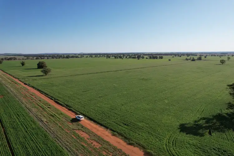 1 Lisgar Lane, Tullamore NSW 2874