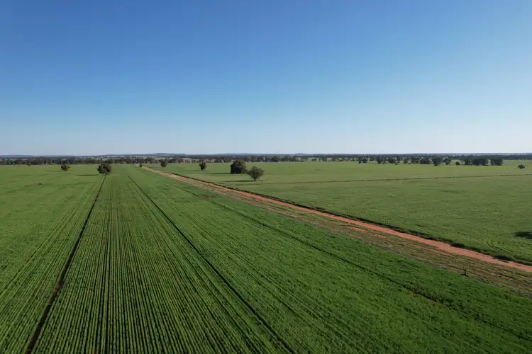 Fourth view of Homely rural property listing, 1 Lisgar Lane, Tullamore NSW 2874