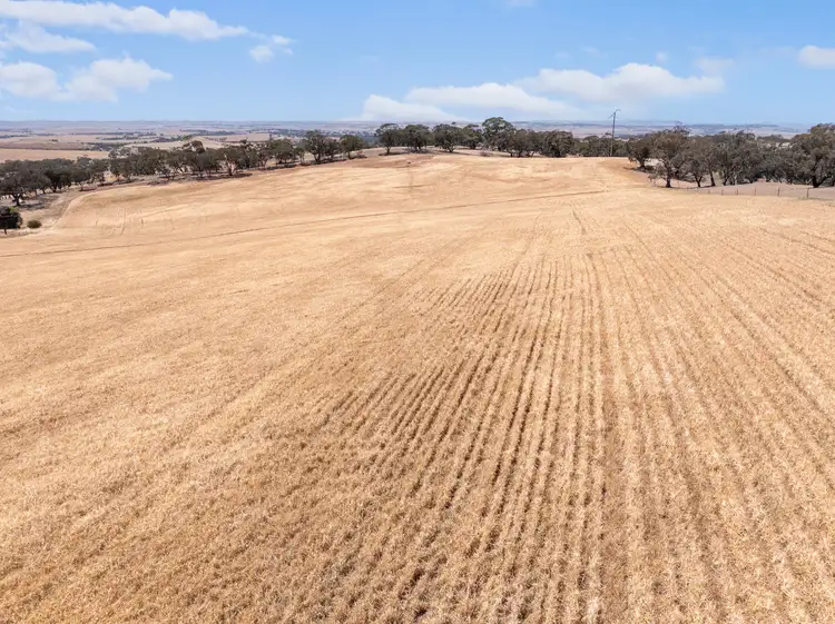 Lot 90 Tarlee Road